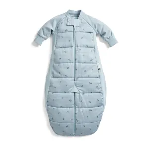 Ergopouch - Organic Winter Long Sleeved 2 In 1 Sleeping Suit Bag - 2.5 TOG - Dragonflies